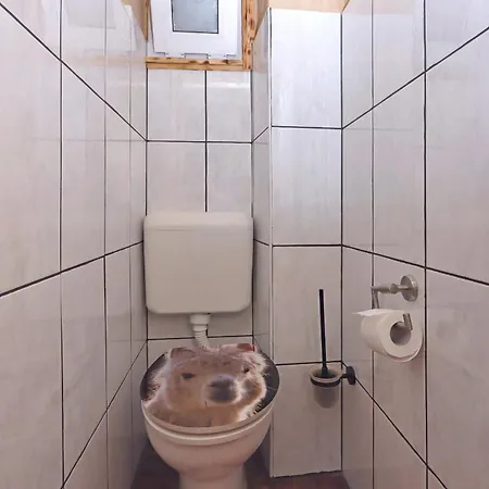 Family Friendly House With A Swimming Pool Nska, Krk - 23499 * Malinska